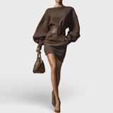 Ženske tamno smeđe univerzalne mini haljine